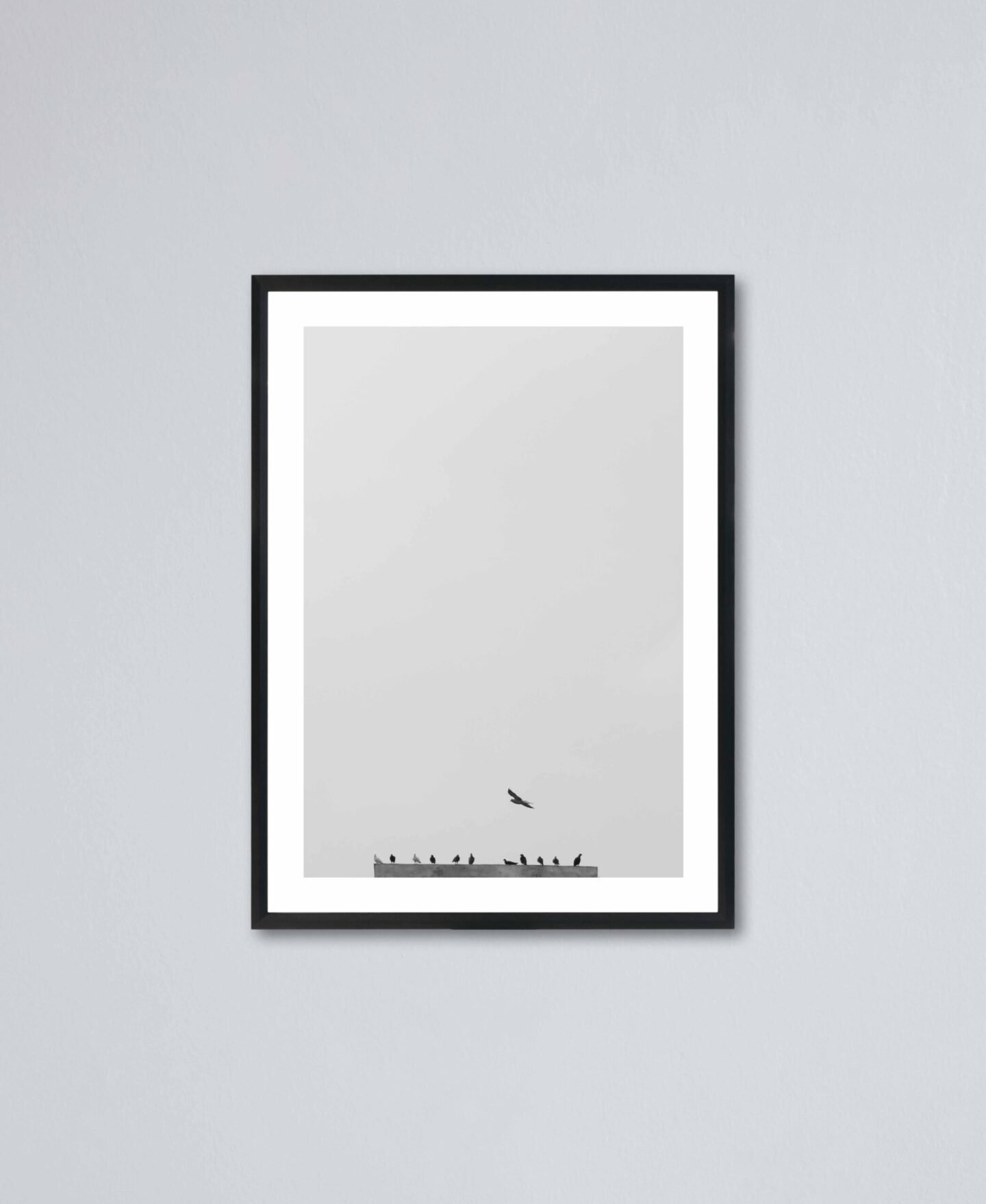 BIRDS