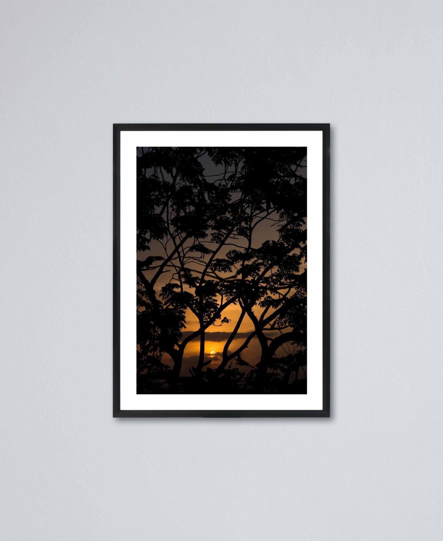 GOLDEN SUNSET