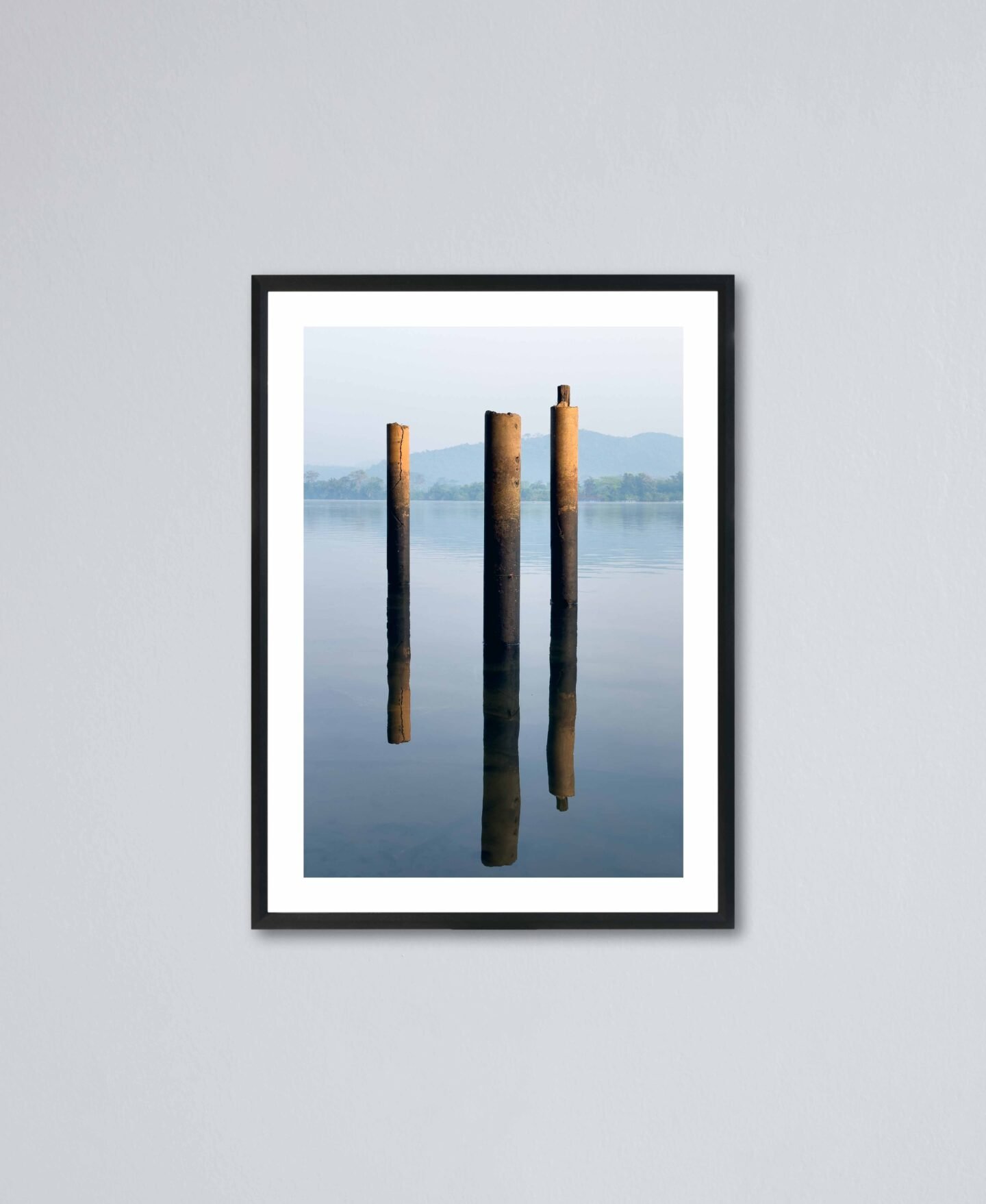 TRINITY (LIMITED EDITION)